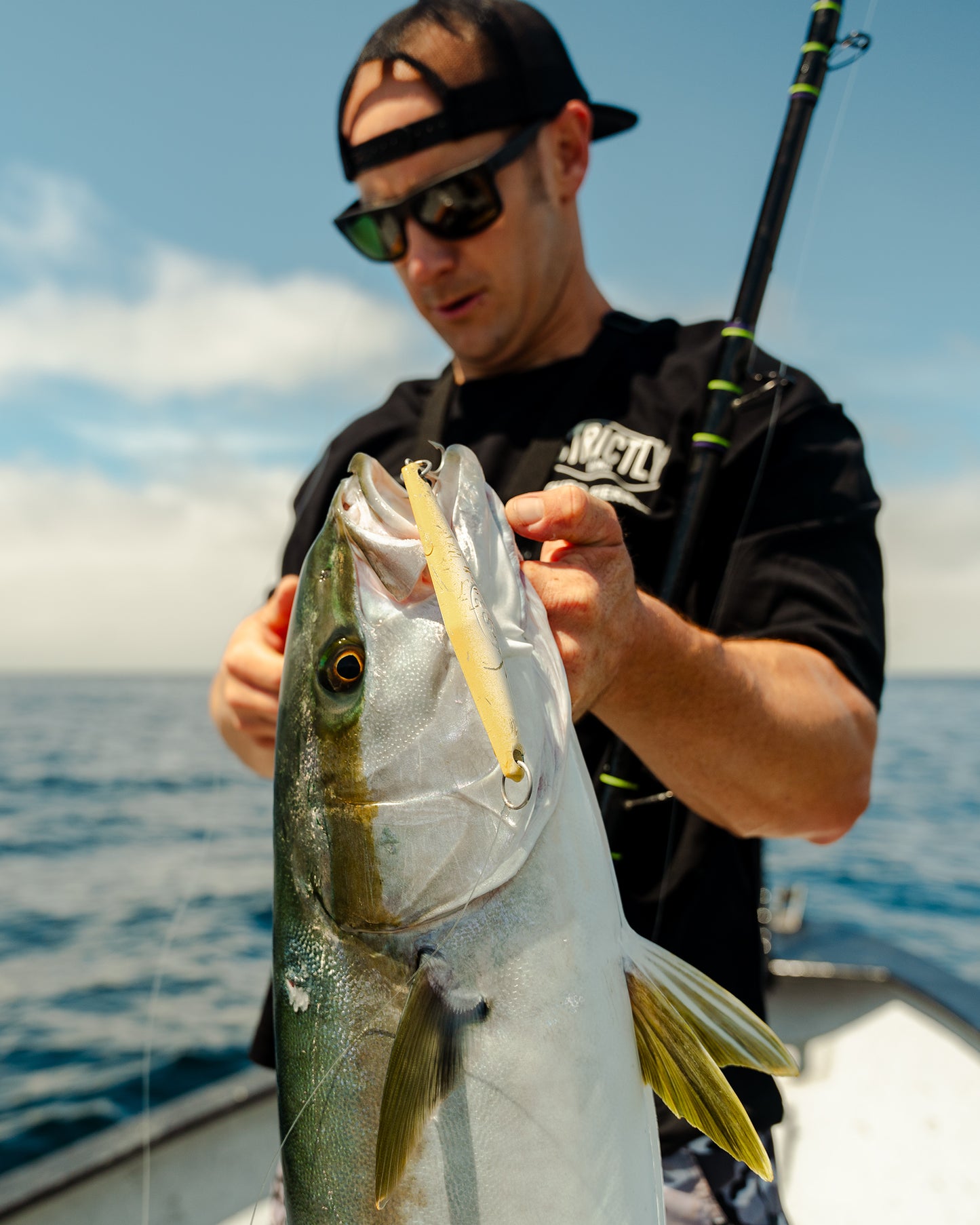 surface iron yellowtail