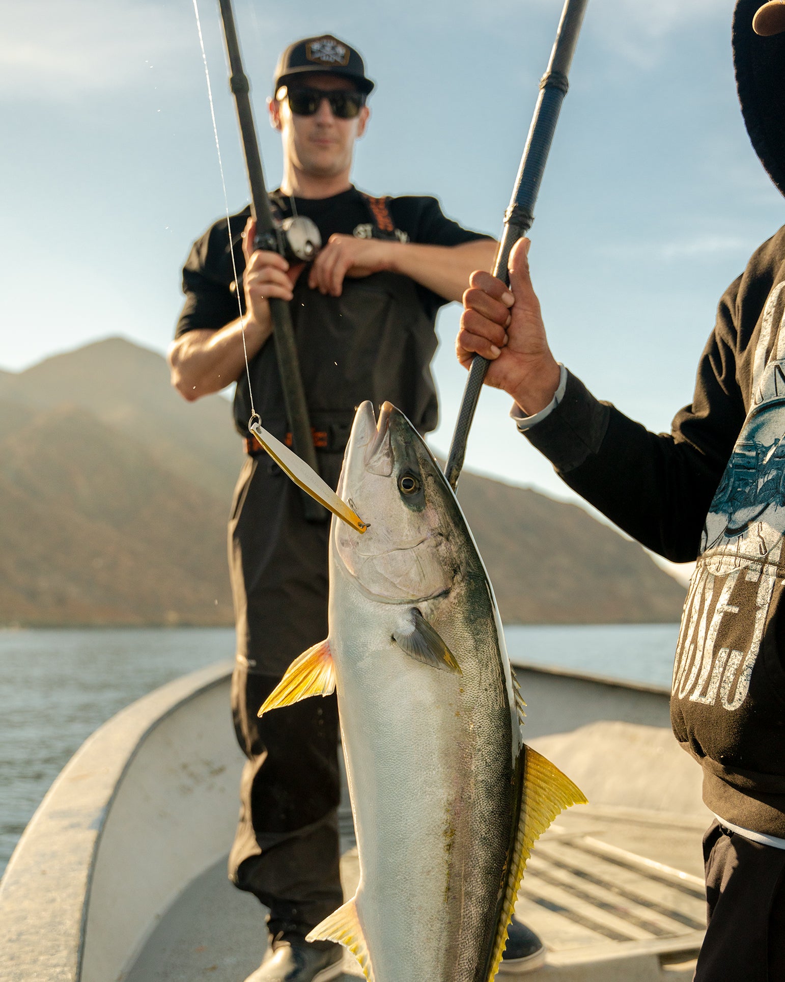 yellowtail cedros island